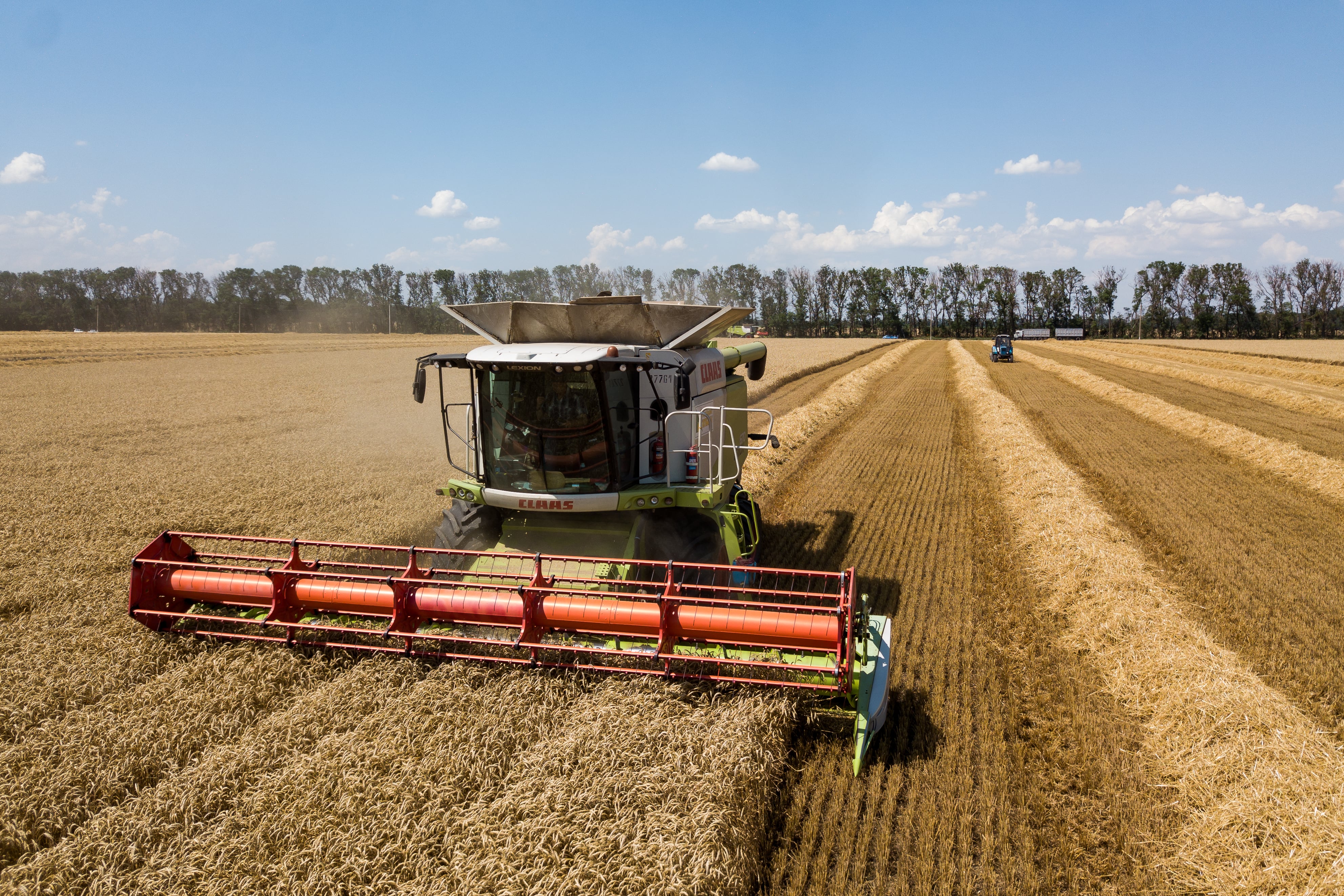 В «Прогресс Агро» идет уборка озимой пшеницы