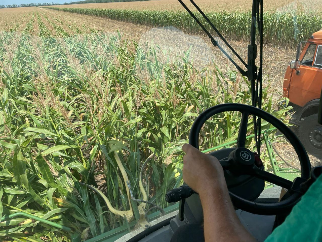 В «Прогресс Агро» стартовала уборка кукурузы на силос