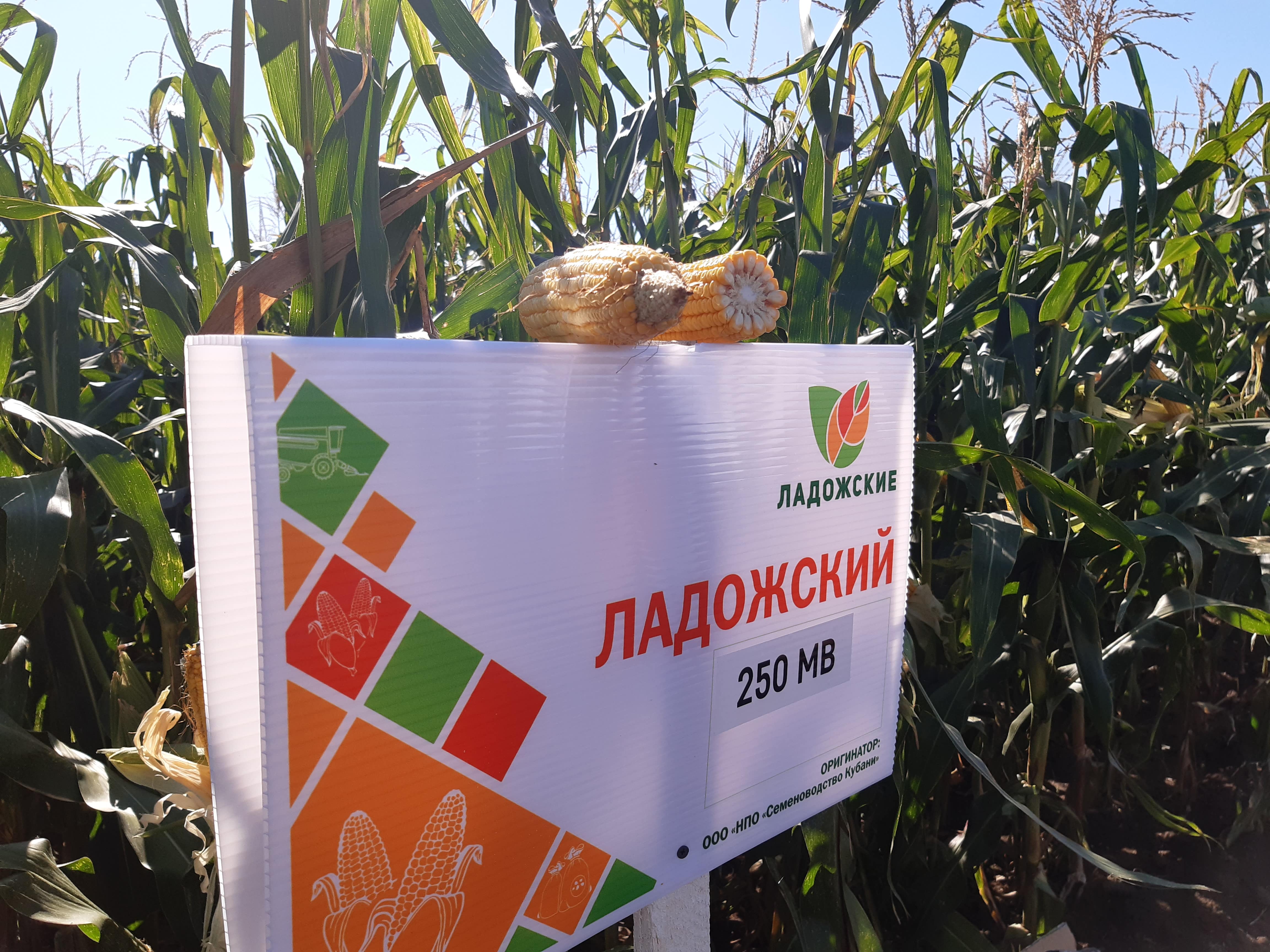 ГК «Прогресс Агро» на выставке «ЮГАГРО» — самой крупной в России выставке сельхозтехники, оборудования и материалов