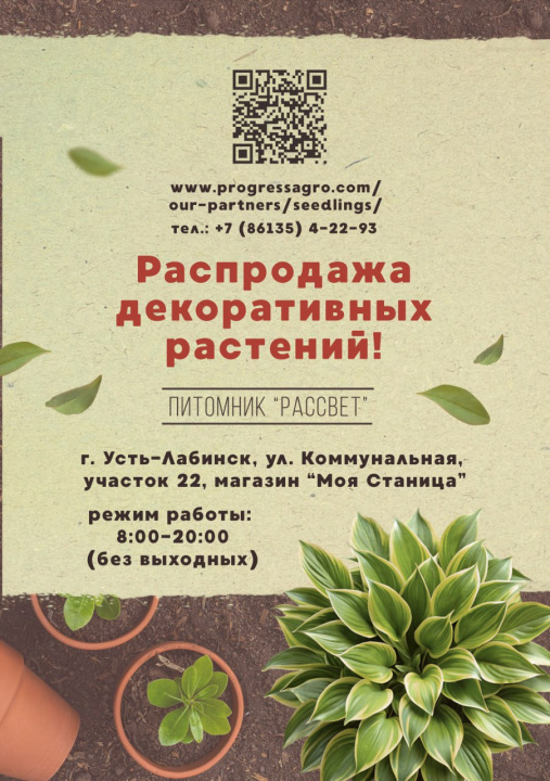 Саженцы от "Прогресс Агро"!