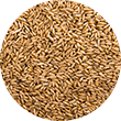 Переработка и хранение зерна