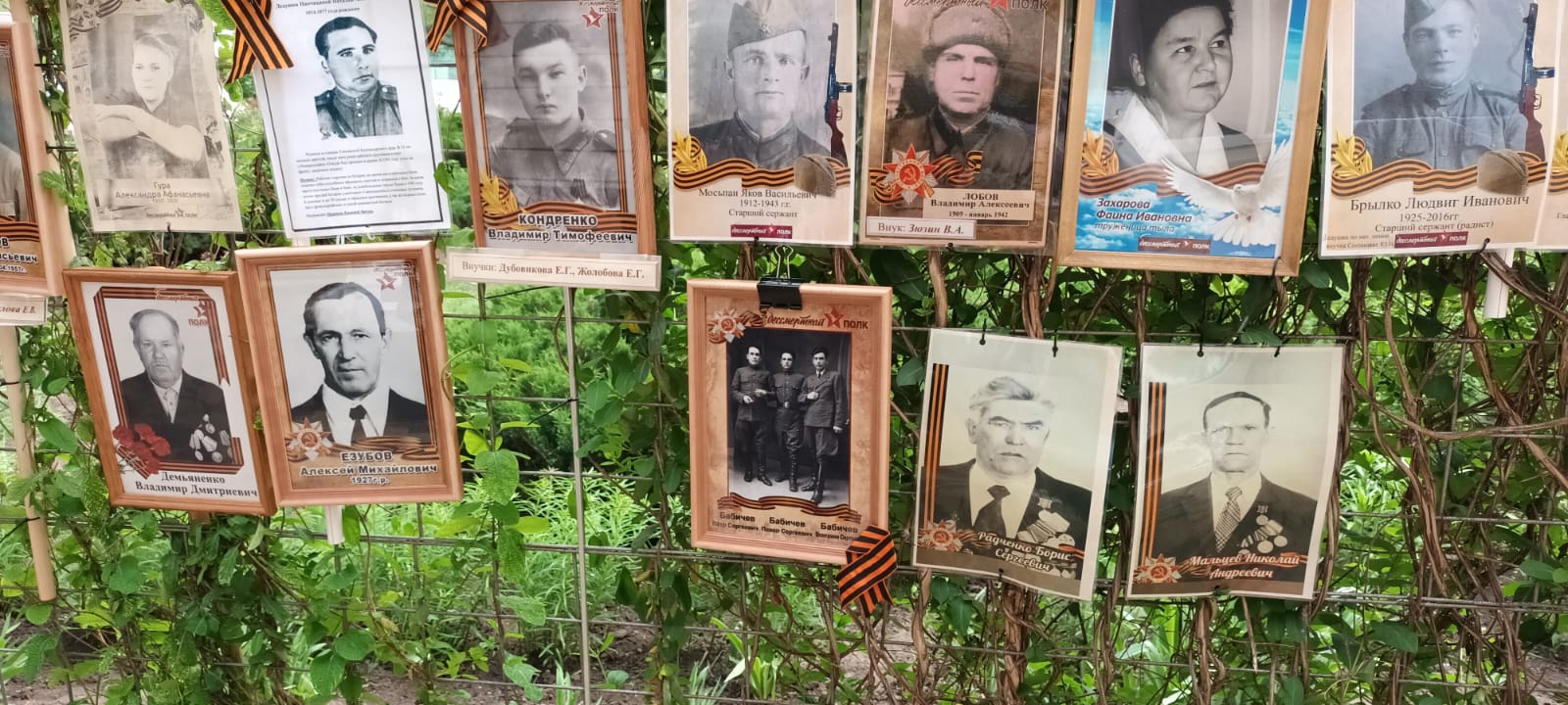 Фото из галереи под номером 12